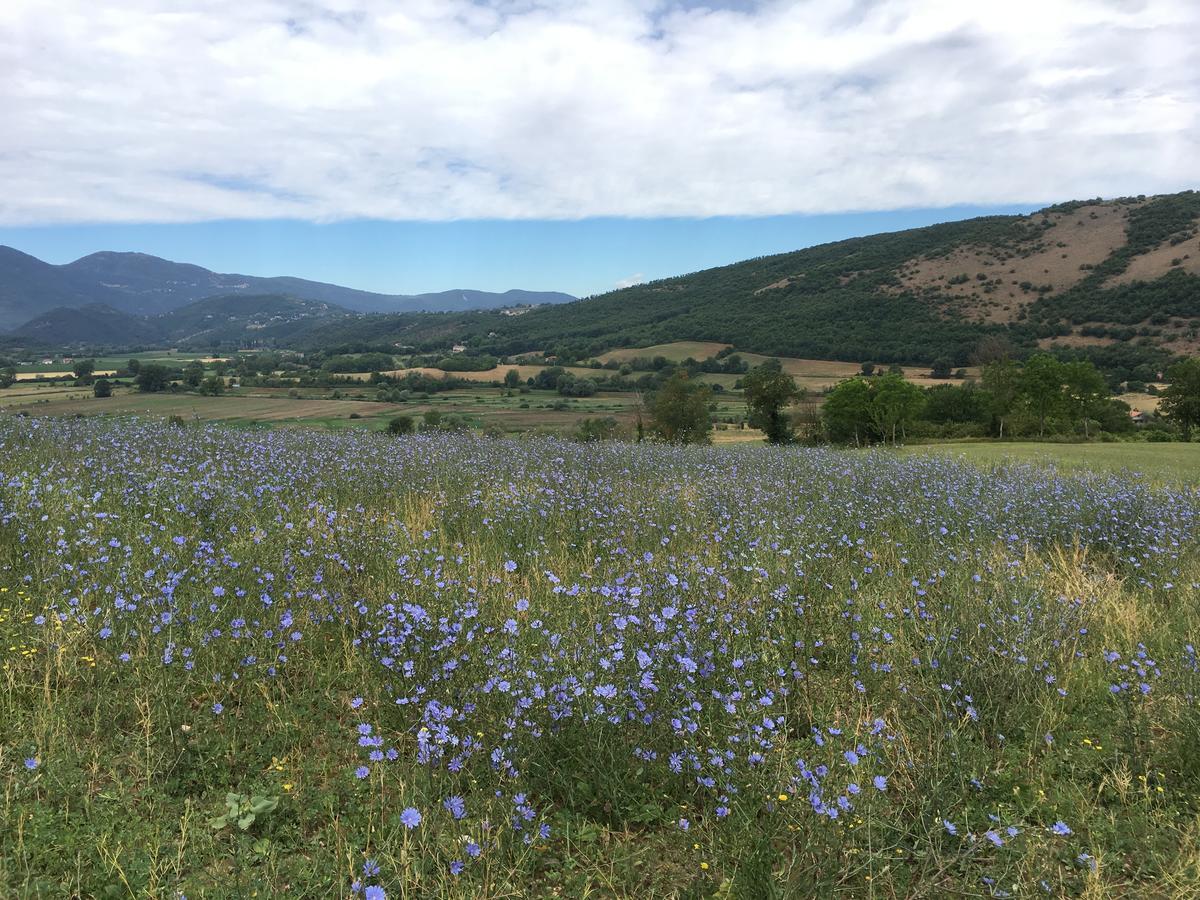 Tenuta Due Laghi Rivodutri Exteriör bild